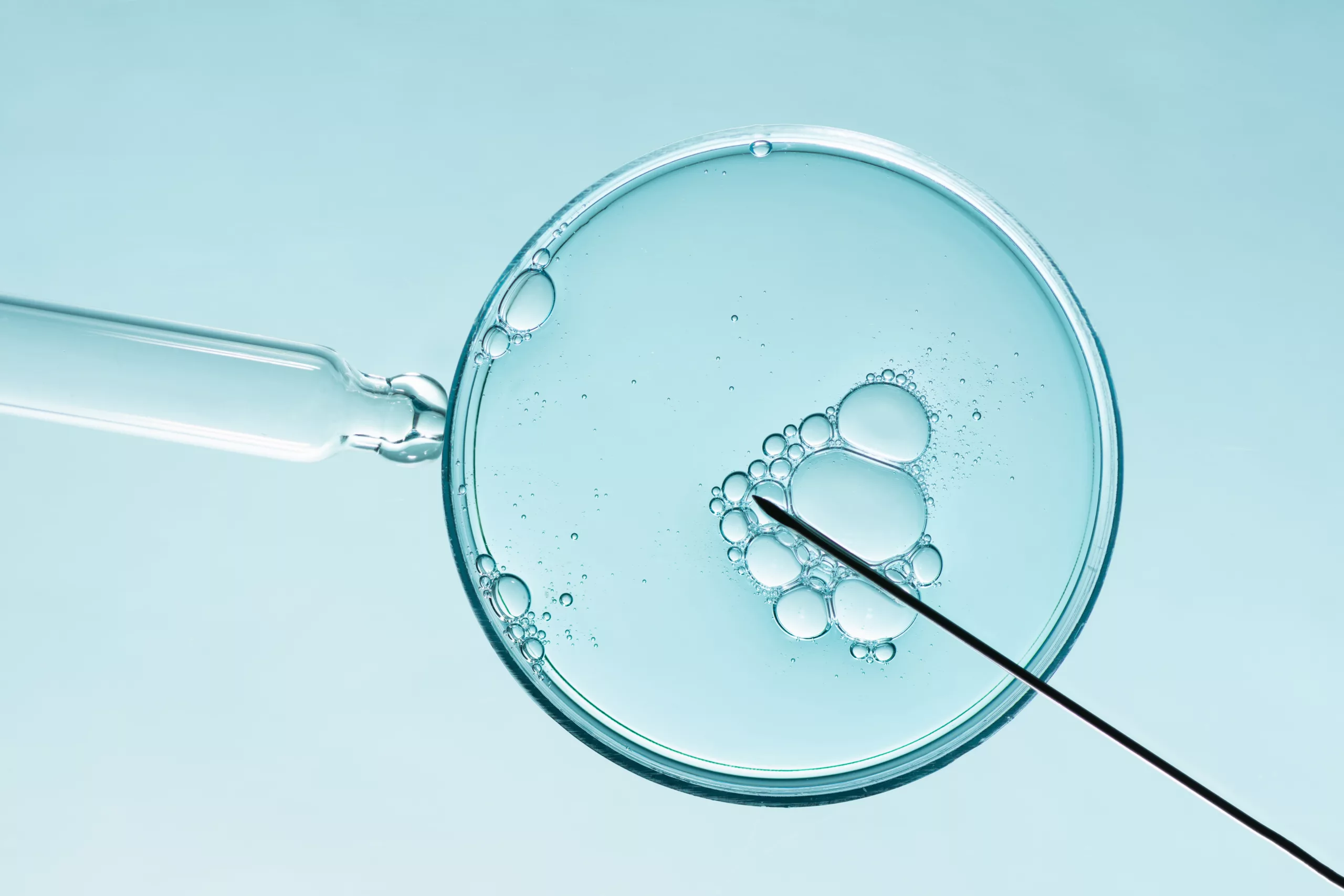 In vitro fertilisation concept. Artificial insemination or fertility treatment macro photography.